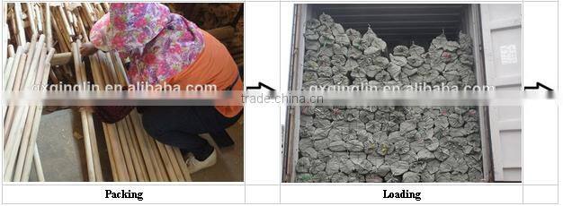 Guigang city manufactory varnished wood handle sell to Turkey