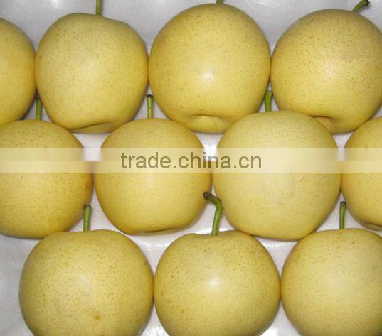 effectual for selling fragrant pear
