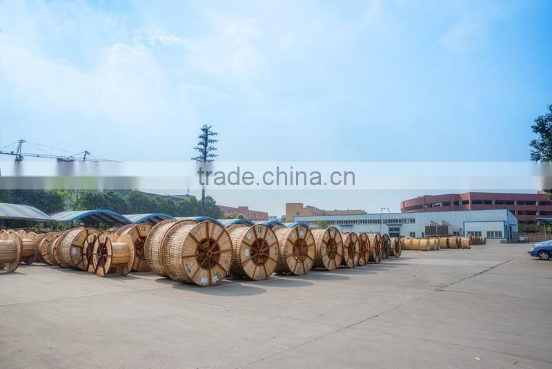 Transparent Fiber cable Optical Fiber Cable China manufacturer