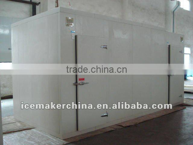 commercial ice cream storage cold room sell well