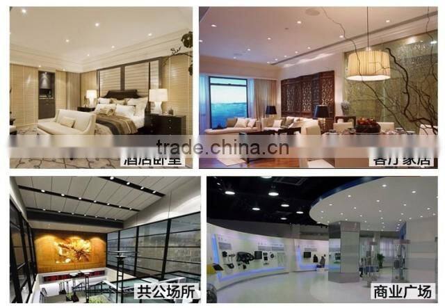 CNTEK LED downlight round slim double color pure white 6W C-tick, CE, RoHS, SAA