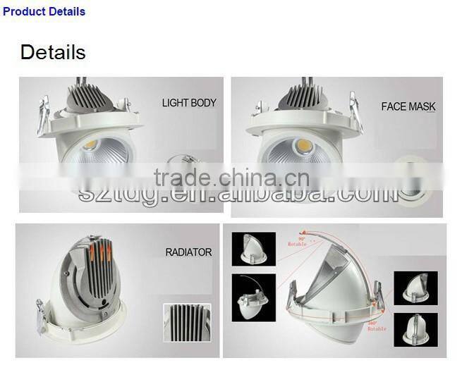 CE RoHS15w 20w 25w 30w Adjustable COB LED Trunk Light indoor