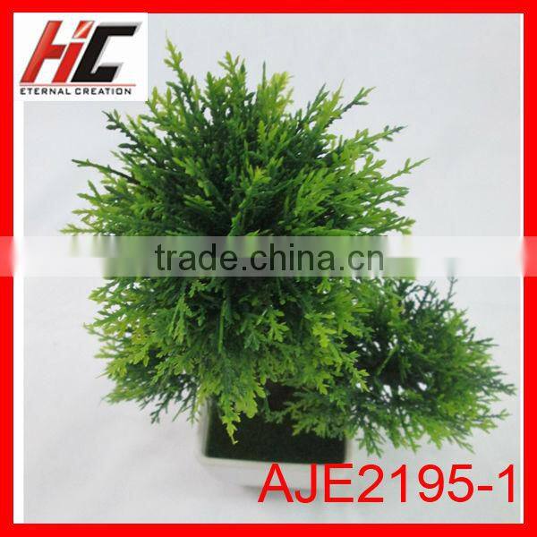 Plant pots wholesale