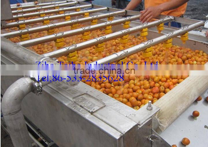 Stainless Steel tomato Washer Machine Price