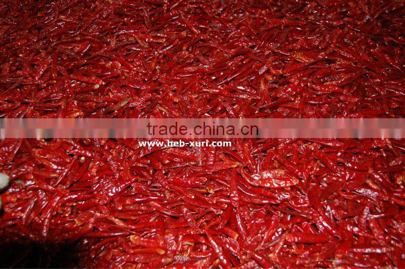 tianying small chilli w/o stem
