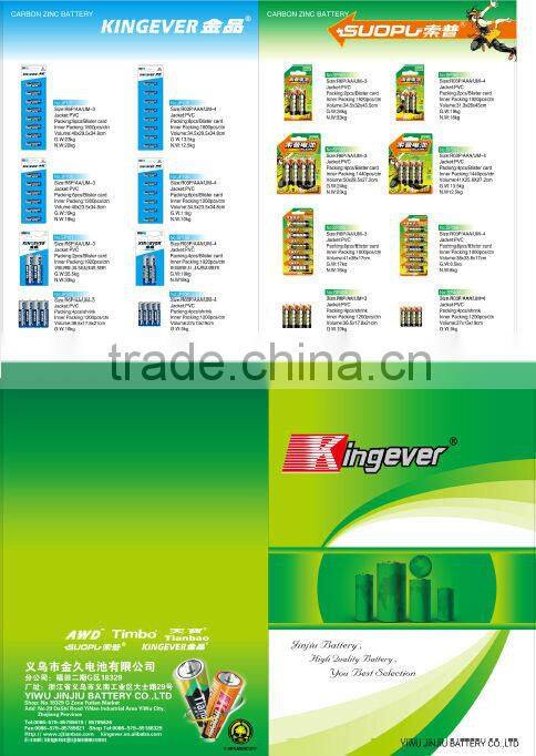 9V Zinc Carbon Battery