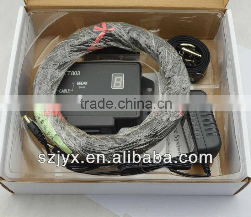 803 In-ground Electronic pet Fencing System hot sale for pet dog