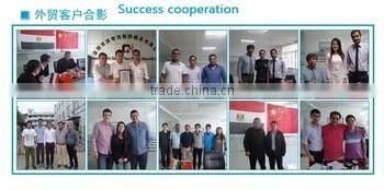 Fuel Tank Mini HDPE Plastic Jerry Can