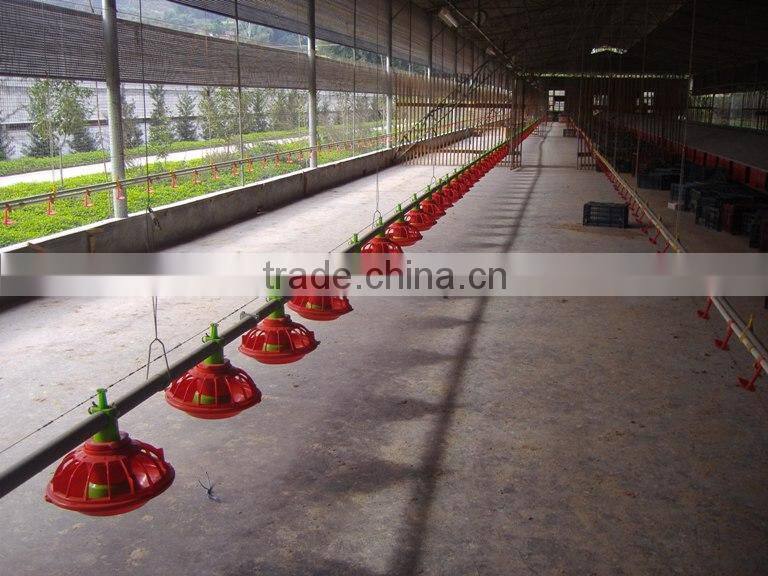 Broiler Chicken Feeding System