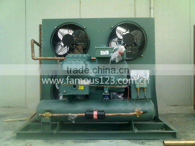 Freezer Condensing Unit,Chiller condensing unit,cooler condensing unit