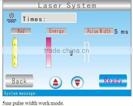 2012professional laser hair tattoo removal machine P003