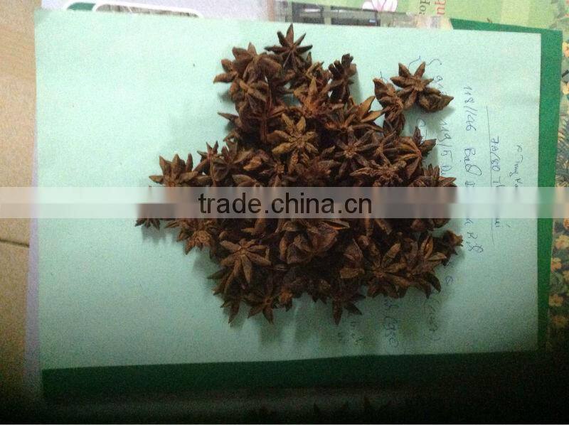 STAR ANISEED (Skype jenny.nguyen992, +84903587537)