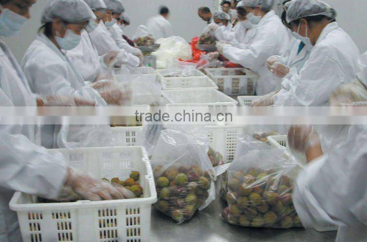 Fresh The King of Litchi(LanZhu) From Fujian China