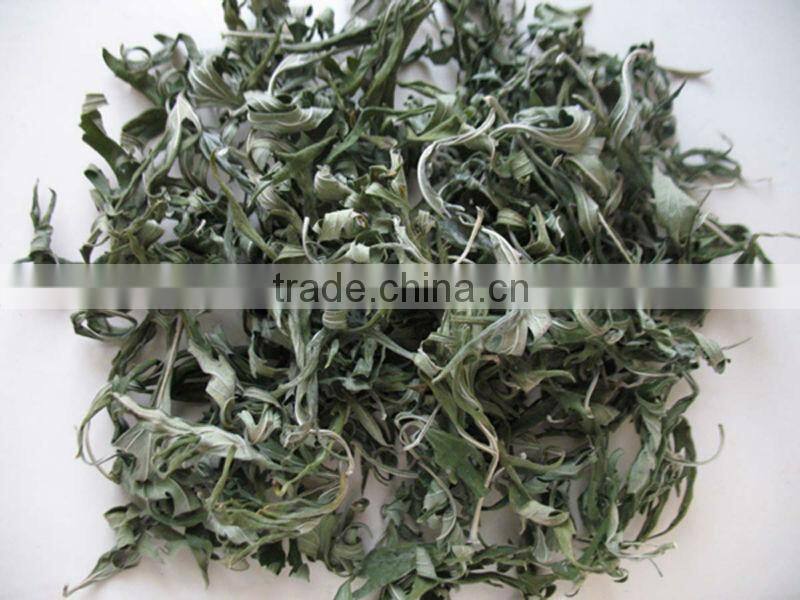 Dried medicinal herbs/herbal medicine-Herba Leonuri(Yimucao)