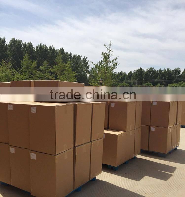 Palarich freeze dried fruit grape chips