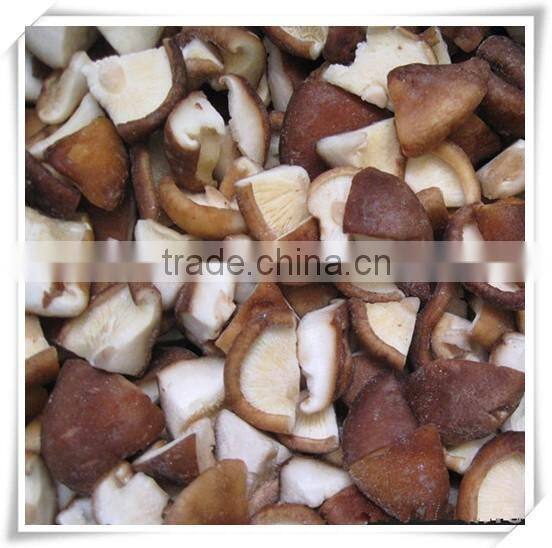 Wholesale fresh shitake mushroom