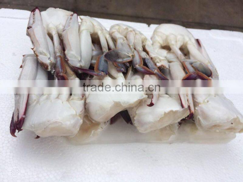 New frozen blue Swimming Crab