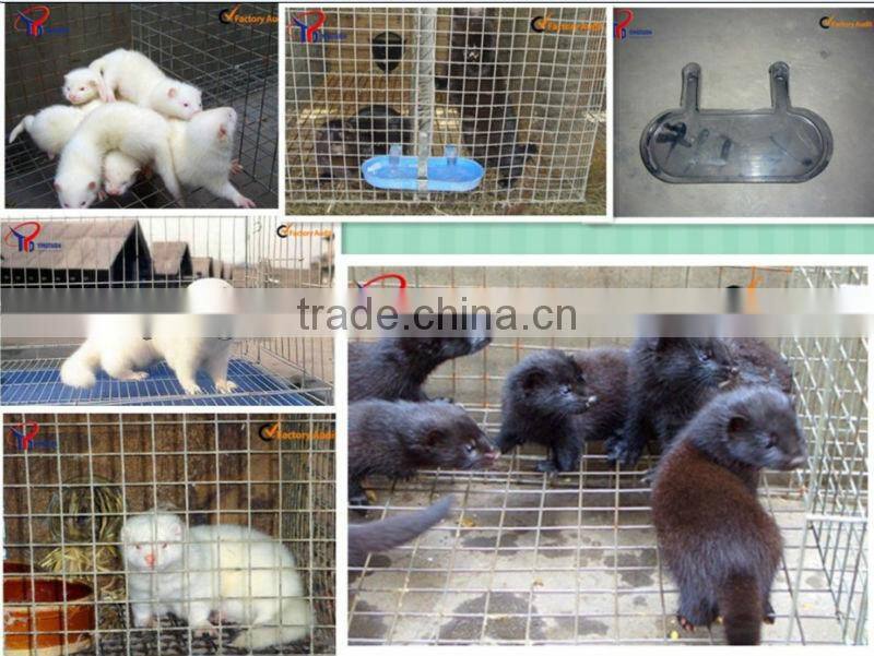 the latest mink cage factory price
