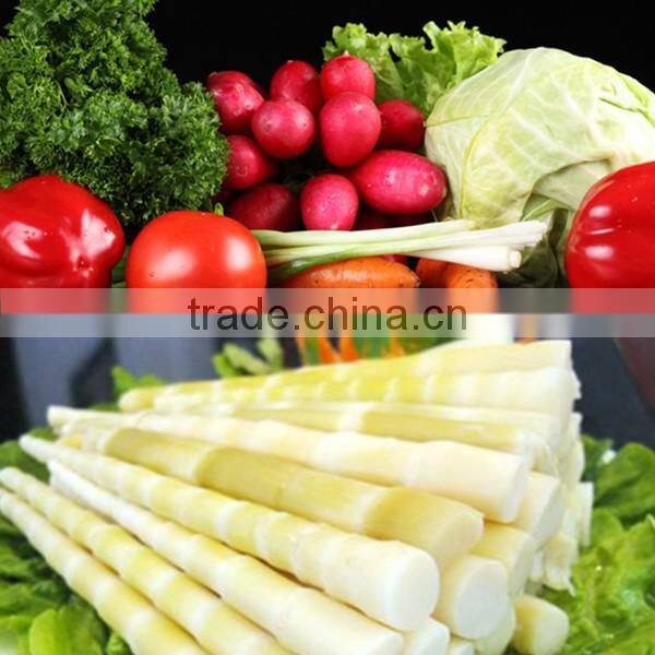 Good quality fruit Pasteurization machine/meat boiling machine/food blanching machine