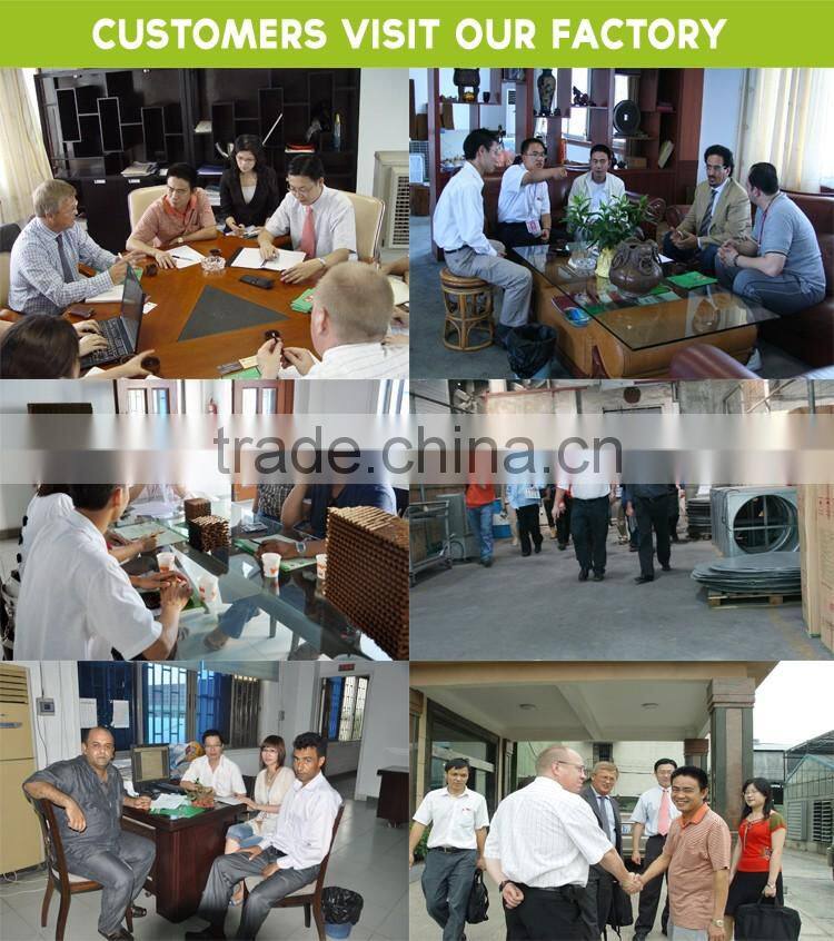 Shunde Foshan Guangdong professional poultry greenhouse exhaust fan manufacture