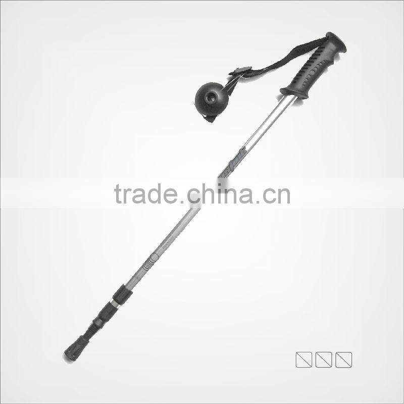 rattan cane
