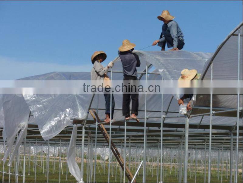 Chile plastic protection rain cover for orchard tree / woven cover cherry from rain