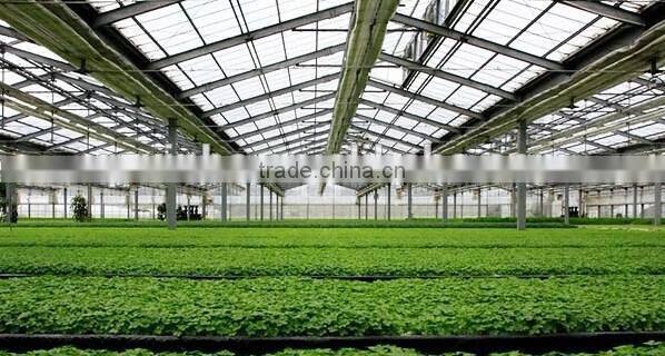 Polycarbonate of agriculture greenhouse