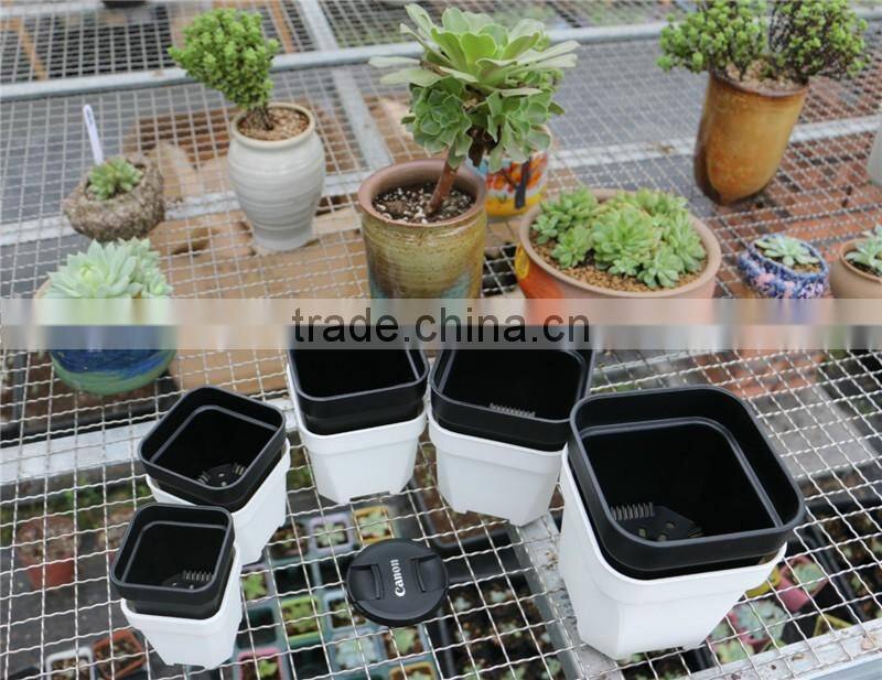 Plastic Colorful More Thickness Square Flower Pot