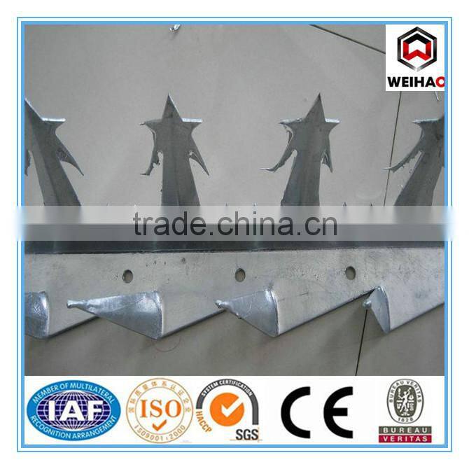 Good Quality High Security Anti Climb Wall Spikes