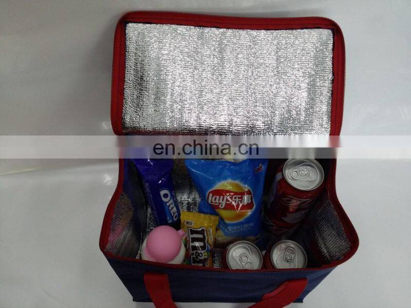 Cooler Bag Picnic Travel Shopping Handbag