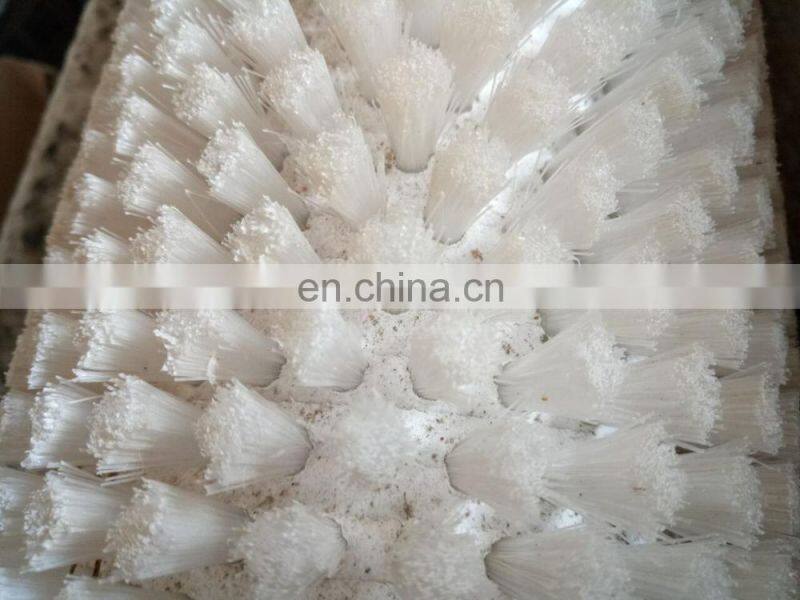 Taizy Potato Ginger Carrot Peanut Orange Taro Washing Machine