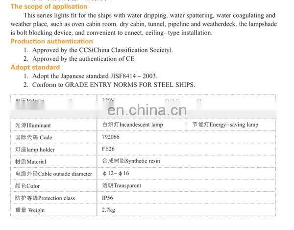CE certificate ceiling type 220V work light
