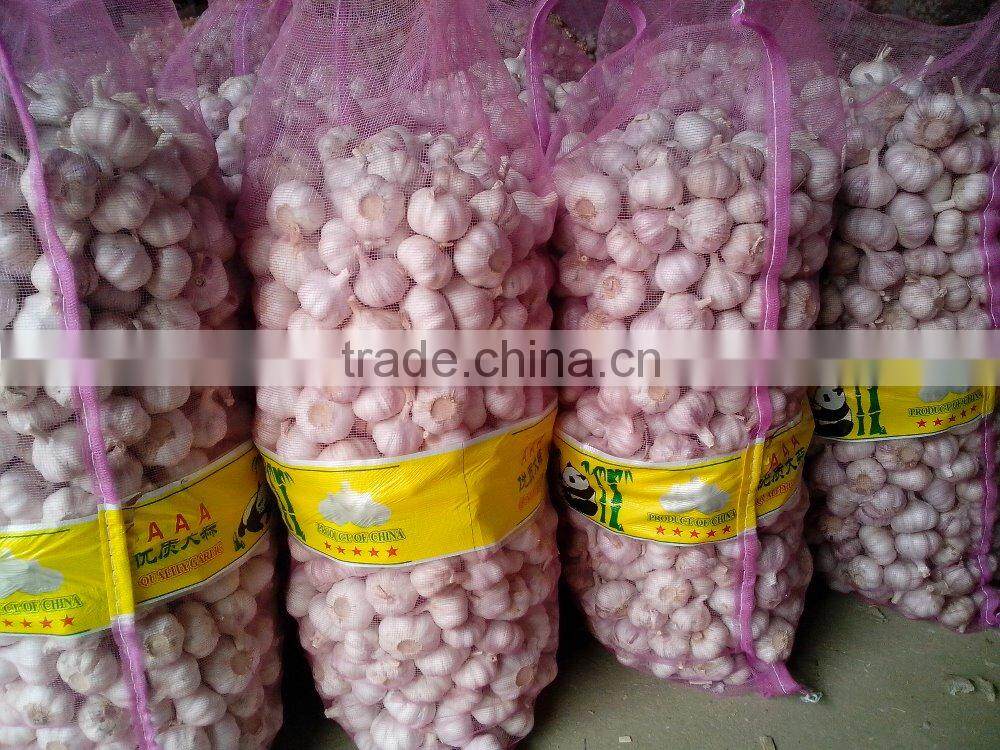 5.5CM Natural Fresh Red Garlic