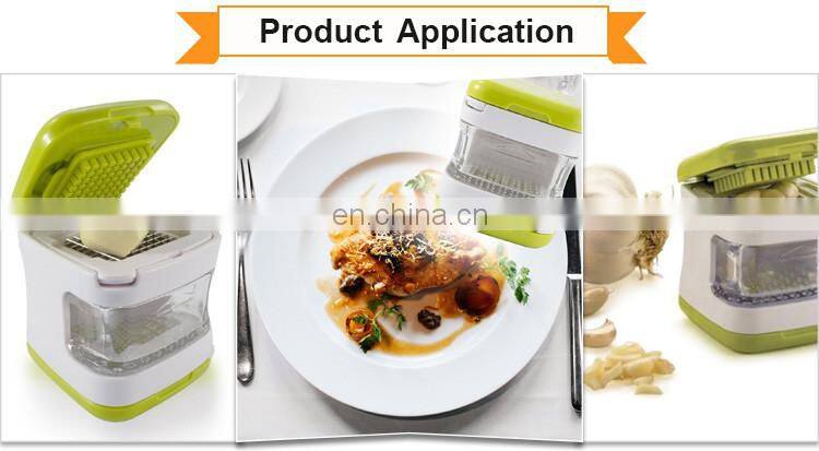 Hot Selling 3 in 1 Stainless Steel Slice Dice Garlic Crusher