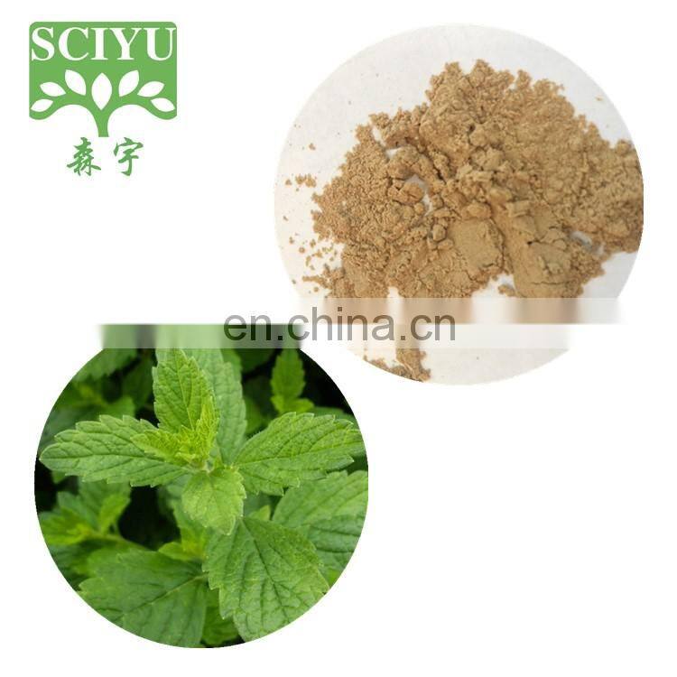 Lemon Balm Leaf Extract Melissa officinalis Extract