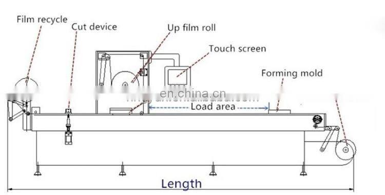 Automatic sausage cheese dates meat fish thermoforming vacuum packaging machine