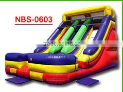New Point inflatable water slides for summer,fashionable garden play inflatable slide,inflatable water slidekids