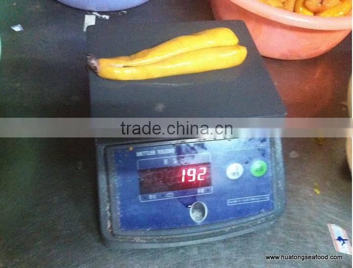 Frozen Mullet fish roe in roes with high DHA with HACCP FDA, BRC, ISO standard