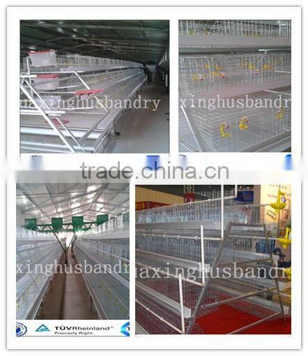 Best selling hen house design with full automatic system