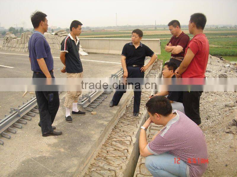 Modular Expansion Joint for Bridge
