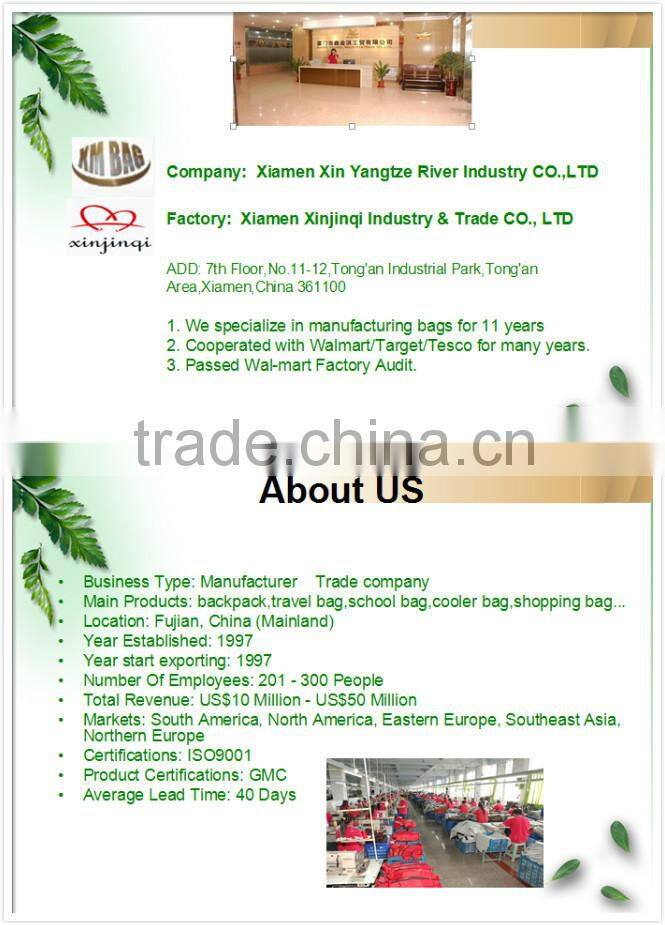 portable freezer cooler bag with large capacity