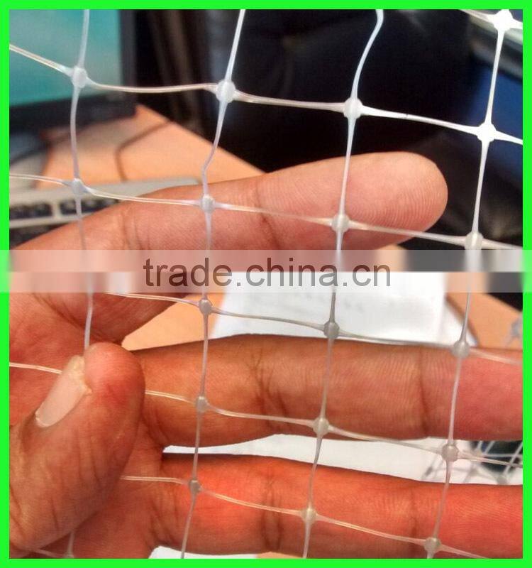 supply high quality flower protection anti bird netting&pond covering mesh