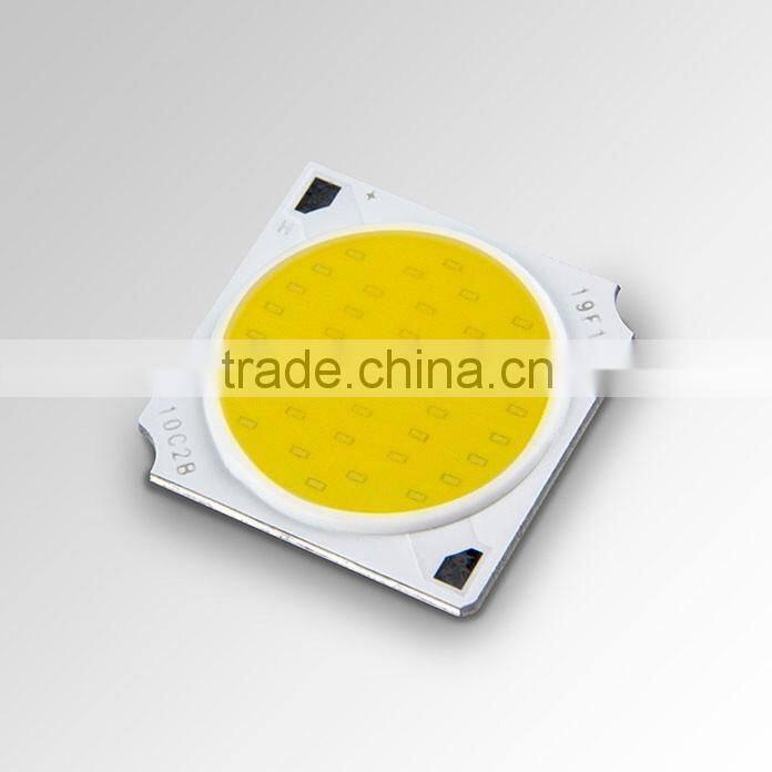China Suppliar Customized Epistar Chip 30W Led Cob