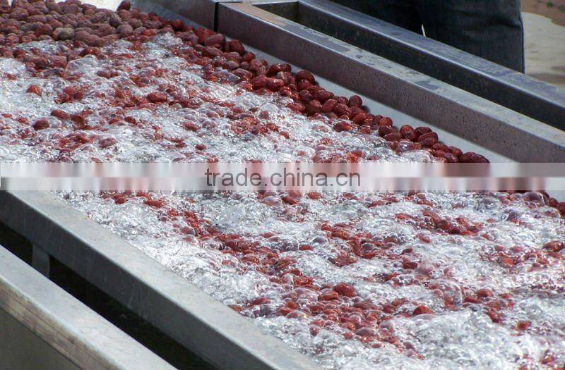 stainless steel washing machine,fruit washing machine,vegetable washing machine,food washer