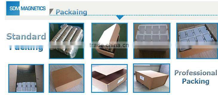 High Quality professional customized round alnico magnet