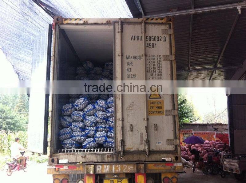 China Red Garlic Price Store Garlic