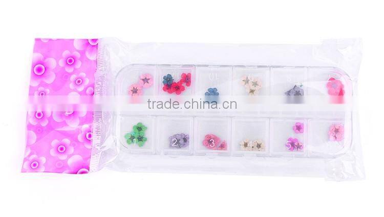 Nail art accessories real dry dried flowers 12 colors in rectangle