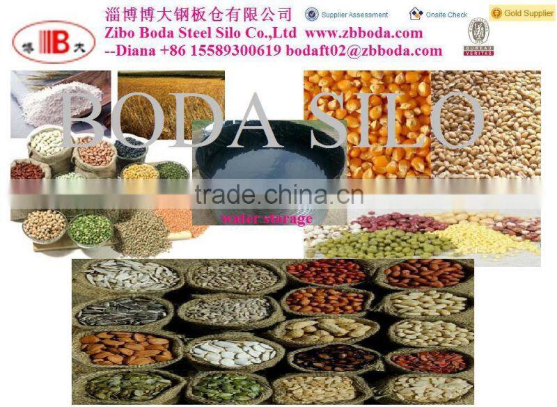 Roof grain scraper / chain conveyor on steel silo with catwalk for supporting