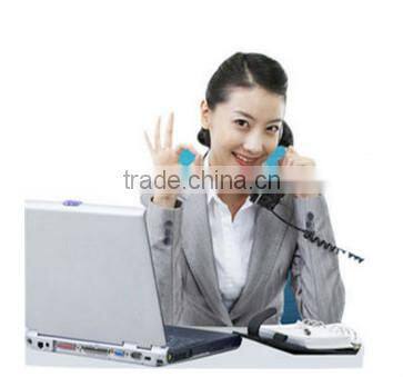 lightweight non-fading lifelike goose decoys