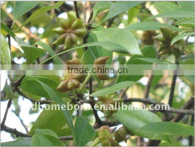 Star aniseed autumm crop Chinese